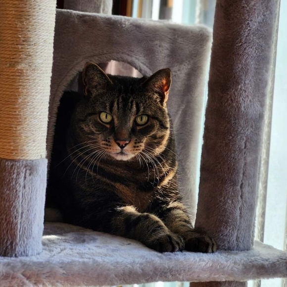 Meet your Posher, Melodie - Picture 6 of 7